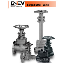 API Forged Flange / Sw / NPT Globe Valves (J41H)